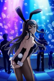 Seishun Buta Yarou wa Bunny Girl Senpai no Yume wo Minai ตอนที่ 1-13 ซับไทย
