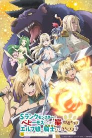 S-Rank Monster no Behemoth dakedo ตอนที่ 1-12 ซับไทย
