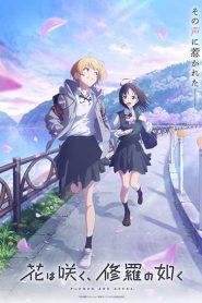 Hana wa Saku Shura no Gotoku บานสะพรั่งดั่งอสุรา ตอนที่ 1-12 ซับไทย